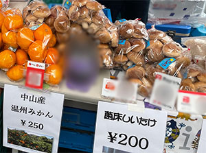 みなよし