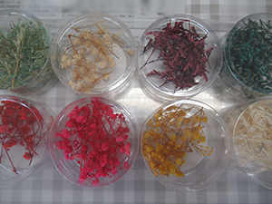 レジン
